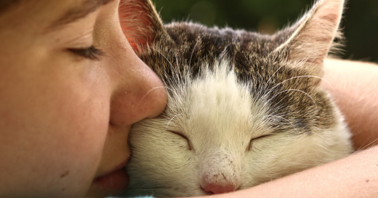 Gato adulto durmiendo abrazado a un humano