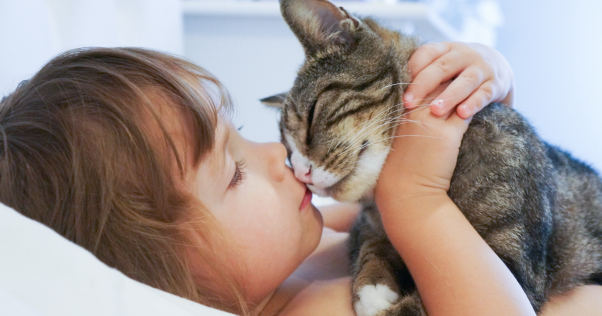 Niña pequeña besando a su gato