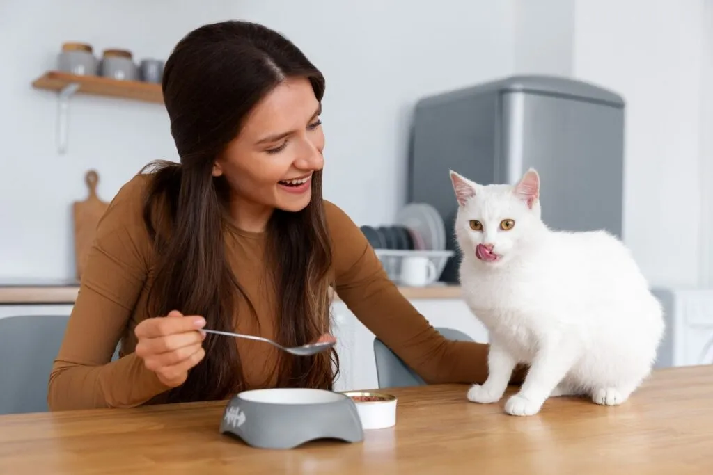 sepicat - Dieta gatos- qué debe comer tu felino y qué evitar