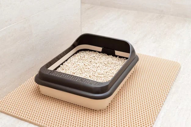 Arena para gatos control de olor_11zon Lettiera per gatti con controllo degli odori