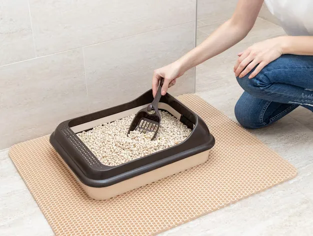 arena para gatos control de olor-persona limpiand la caje de arena de su gato_11zonLettiera per gatti con controllo degli odori